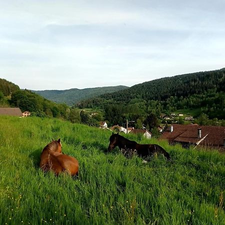 סן-מוריס-סור-מוסל Gite De Famille Dans Les Vosges מראה חיצוני תמונה